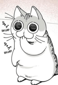 Kyuruga null