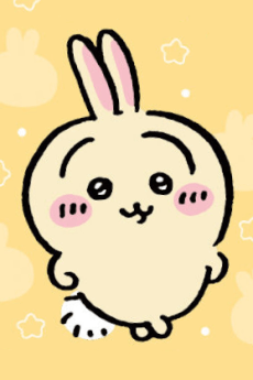 Usagi null