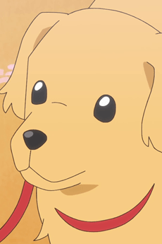 Kyuutarou null